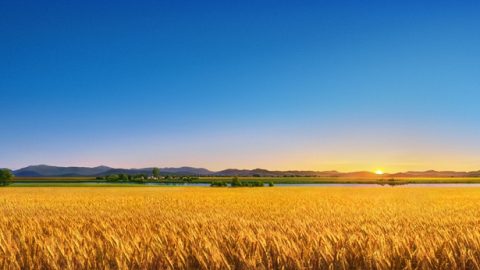 Хүний эцсийн үр дүнг Бурхан юунд үндэслэн тодорхойлдог тухай