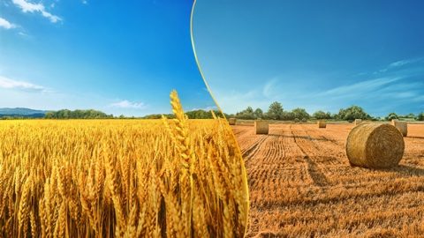 Бурхан хэнийг аварч, хэнийг таягдан хаядаг тухай