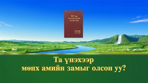 Та үнэхээр мөнх амийн замыг олсон уу?