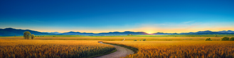 Цэвэрлэгдэж, бүрэн аврагдах зам