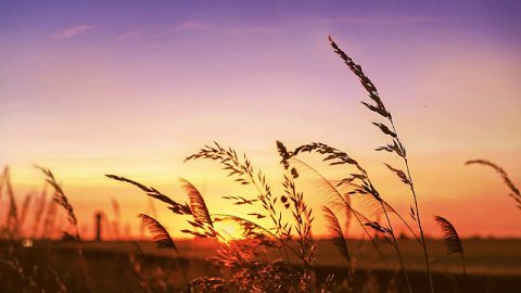 Хуурамч Христ гэж юу вэ? Хуурамч Христийг хэрхэн ялган таньж болох вэ?